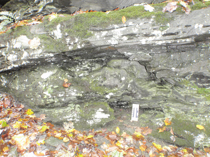 PA040018