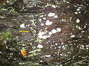 PA040023