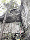 PA040039