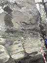 PA040033