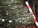 PA040036