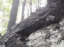 PA040022