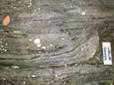 PA040014