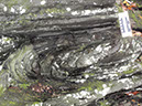 PA040015