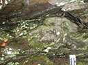 PA040016