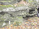 PA040019