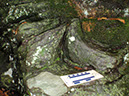 PA040012