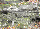 PA040017
