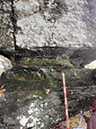 PA040002