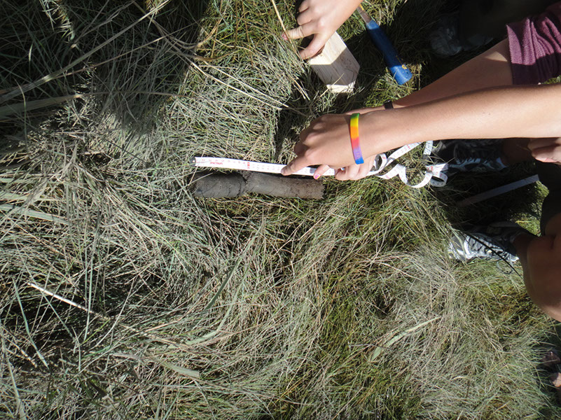 JIRP, Copper Ridge, Geology 2011 251