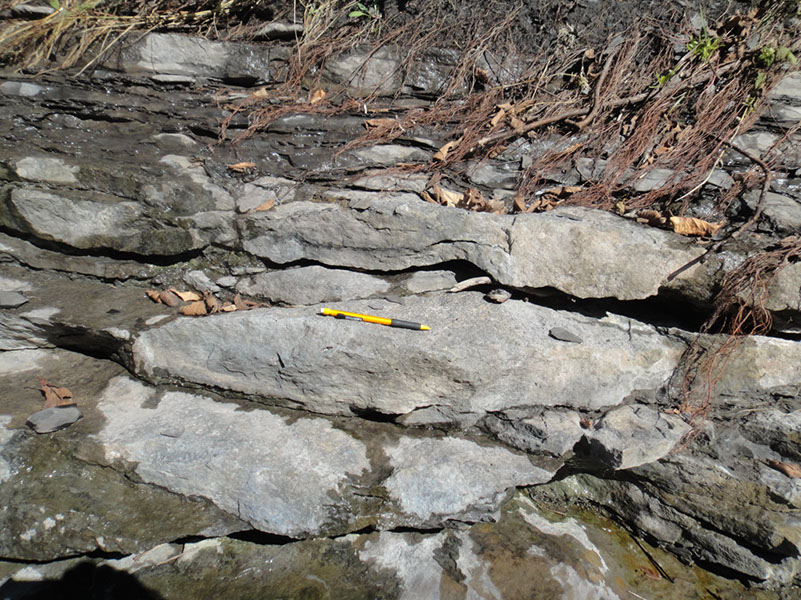 JIRP, Copper Ridge, Geology 2011 262