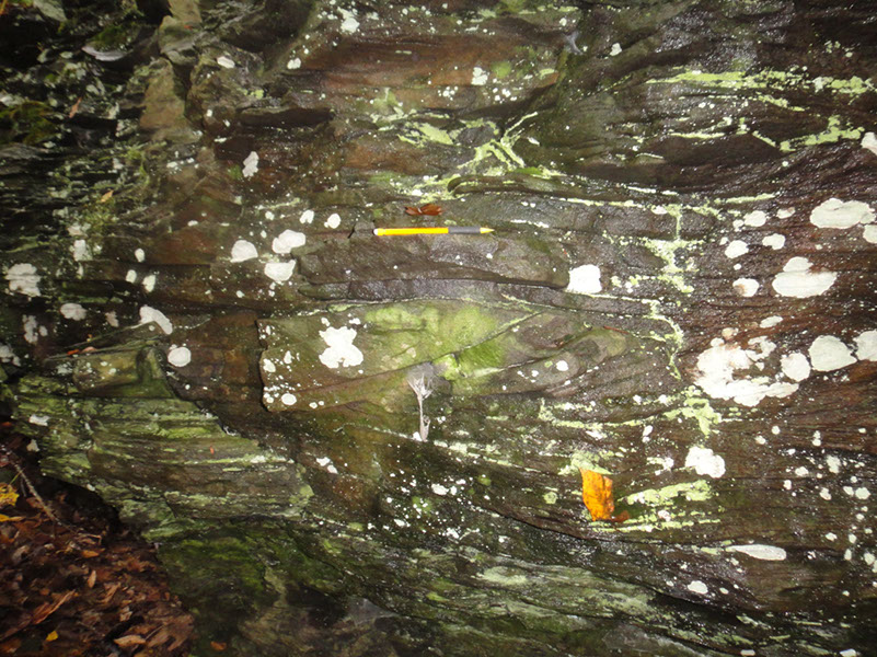 JIRP, Copper Ridge, Geology 2011 278