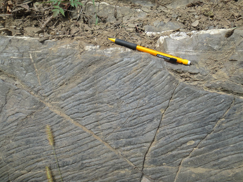 JIRP, Copper Ridge, Geology 2011 255