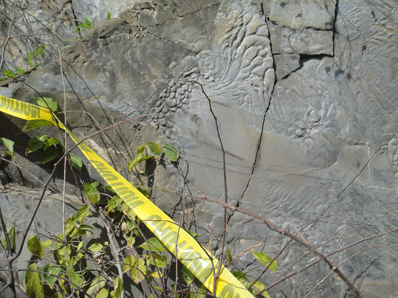 JIRP, Copper Ridge, Geology 2011 258