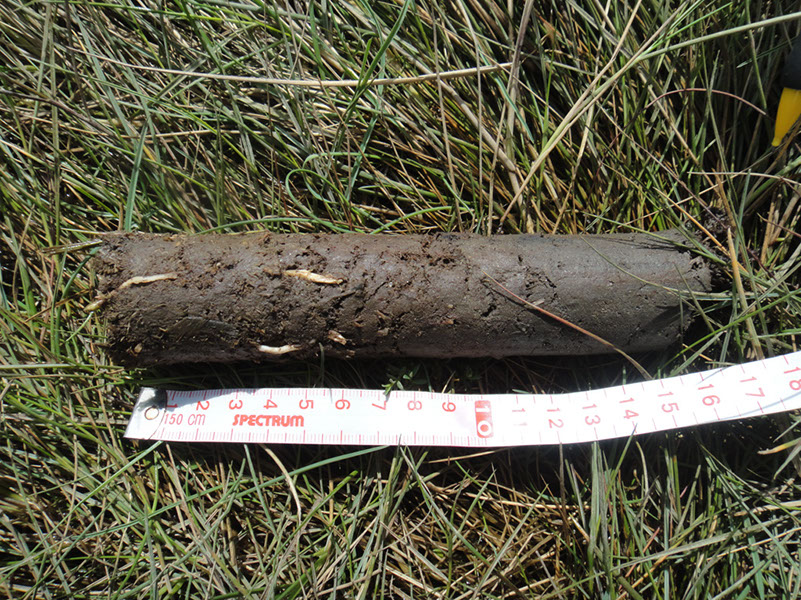 JIRP, Copper Ridge, Geology 2011 247