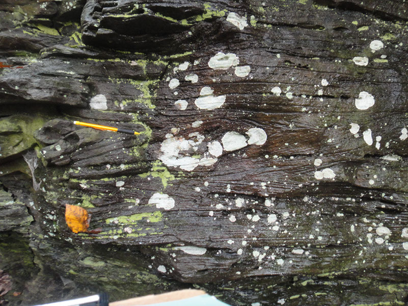 JIRP, Copper Ridge, Geology 2011 276