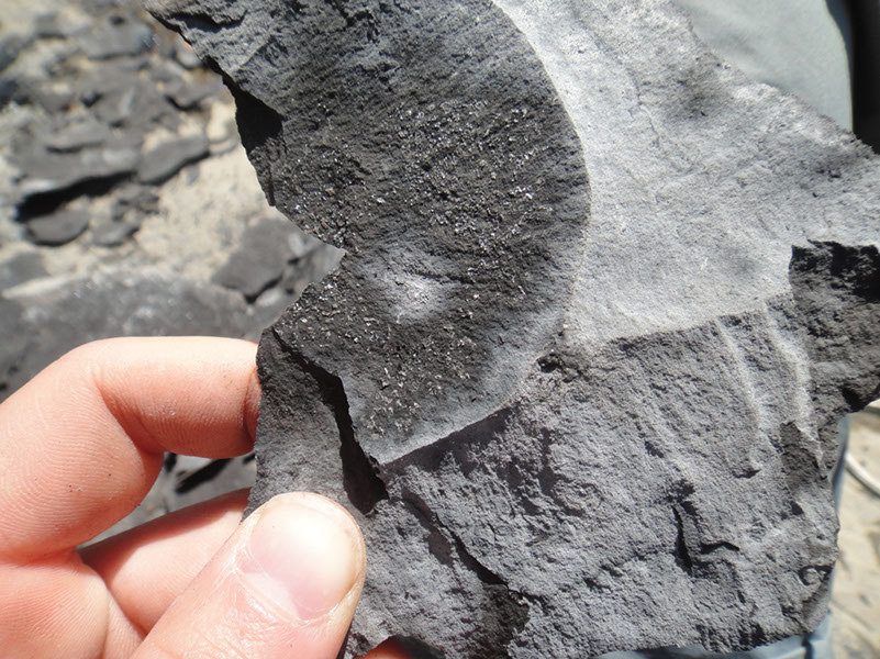 JIRP, Copper Ridge, Geology 2011 264