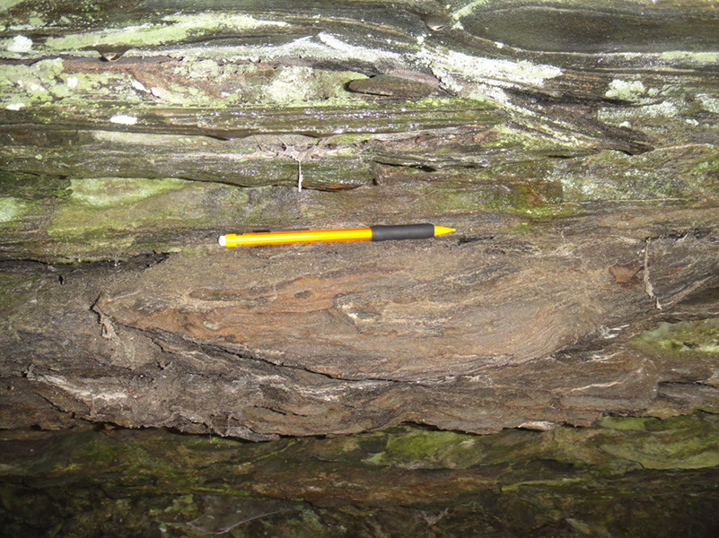 JIRP, Copper Ridge, Geology 2011 271