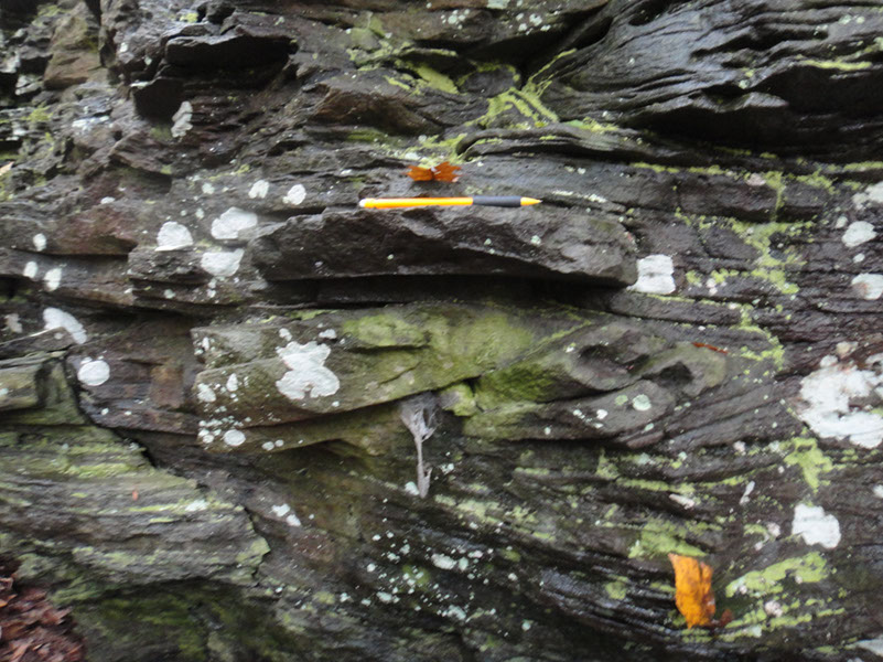 JIRP, Copper Ridge, Geology 2011 277