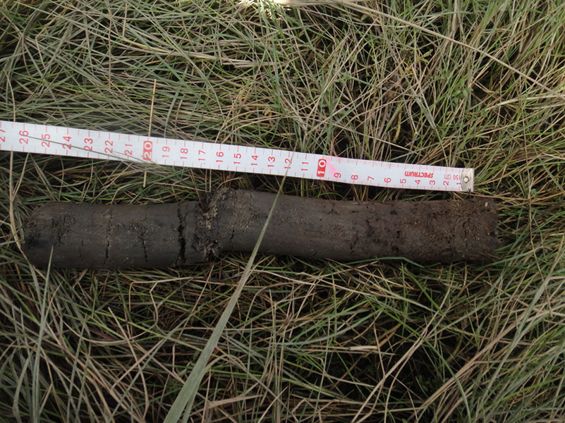 JIRP, Copper Ridge, Geology 2011 252