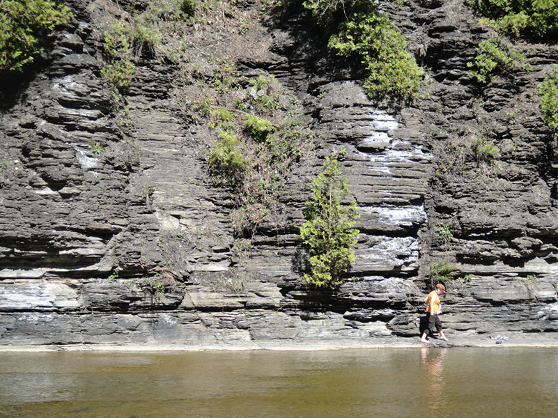 JIRP, Copper Ridge, Geology 2011 266