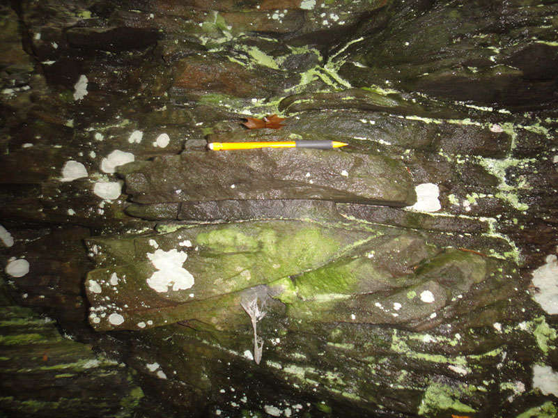 JIRP, Copper Ridge, Geology 2011 279