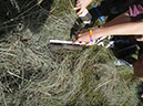 JIRP, Copper Ridge, Geology 2011 251