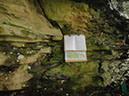 JIRP, Copper Ridge, Geology 2011 268