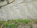 JIRP, Copper Ridge, Geology 2011 254