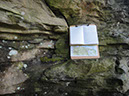 JIRP, Copper Ridge, Geology 2011 267