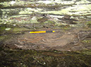 JIRP, Copper Ridge, Geology 2011 272