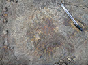 JIRP, Copper Ridge, Geology 2011 261