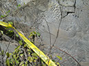 JIRP, Copper Ridge, Geology 2011 258