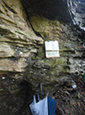JIRP, Copper Ridge, Geology 2011 269