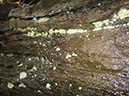 JIRP, Copper Ridge, Geology 2011 270