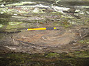 JIRP, Copper Ridge, Geology 2011 271