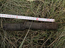 JIRP, Copper Ridge, Geology 2011 252