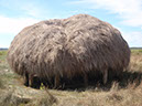 P9100076