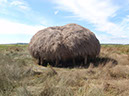 P9100077