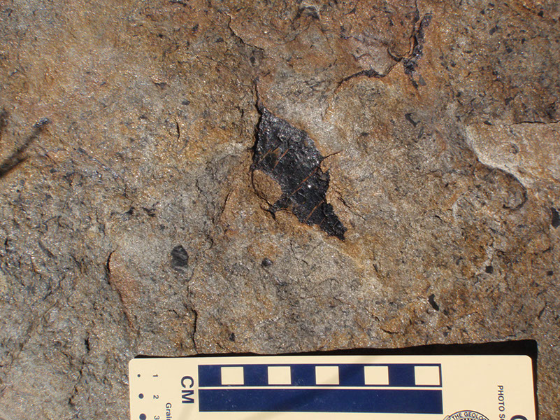 PA250051