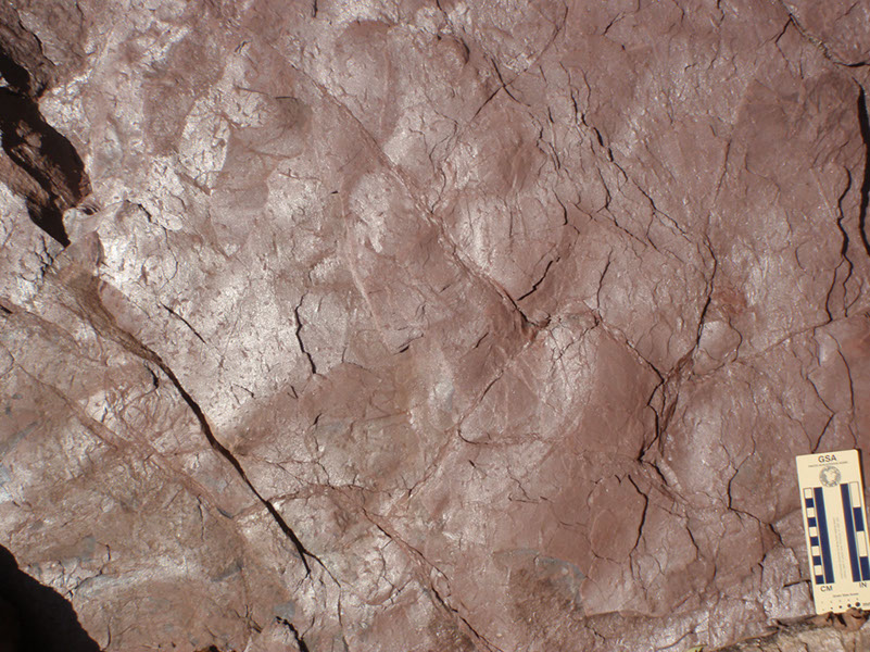 PA250028