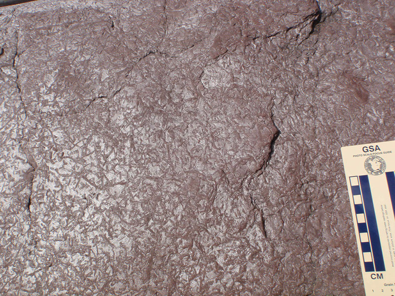 PA250020
