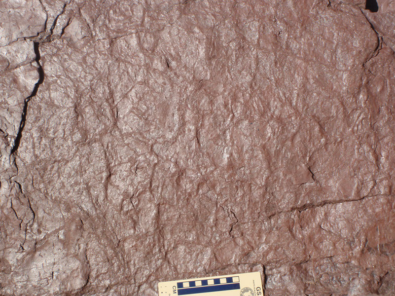 PA250026