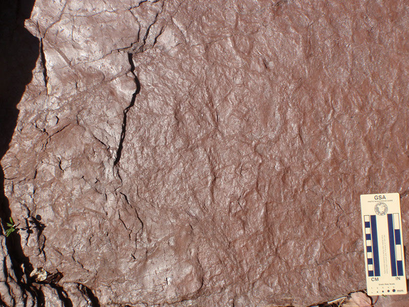 PA250025