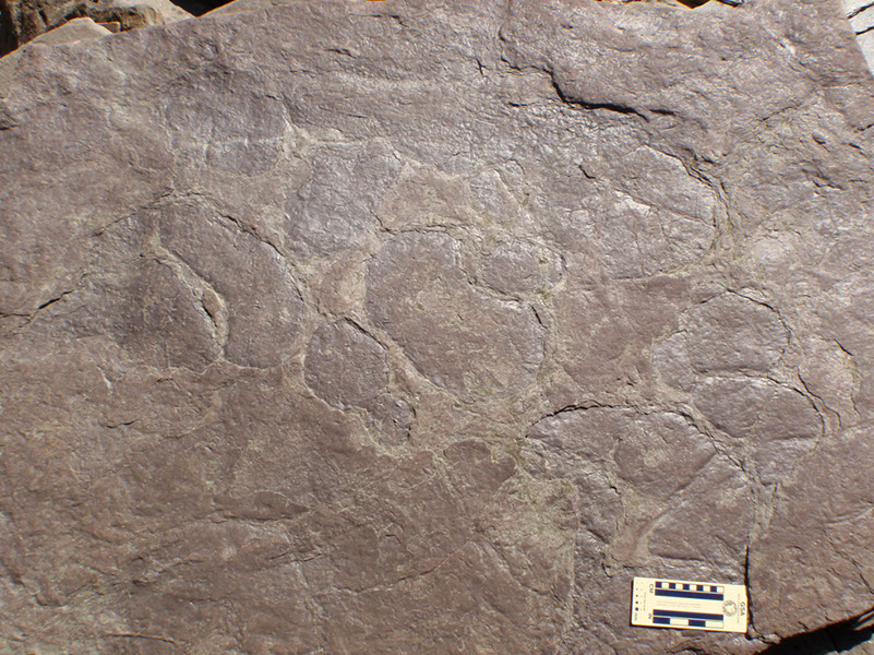 PA250053