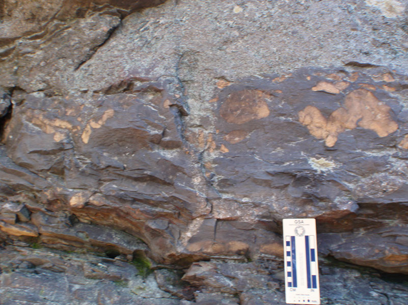 PA250045