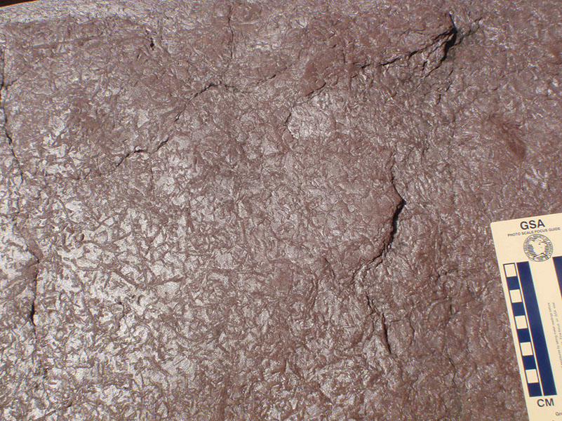 PA250019