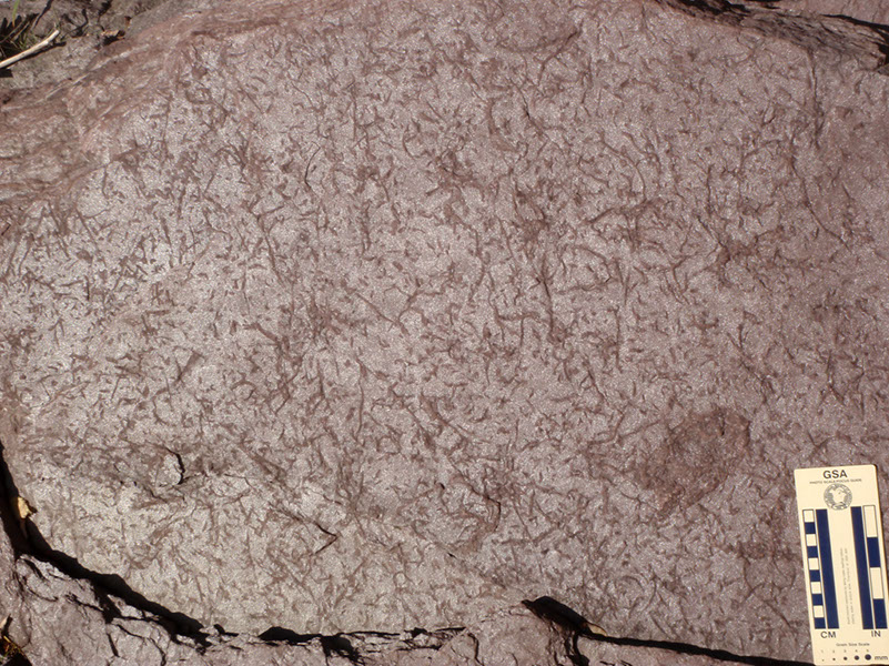 PA250023