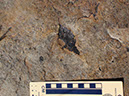 PA250051