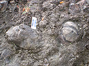 PA250003